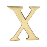 Heritage Brass Letter X  - Pin Fix 51mm